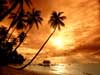sunset02 (96.9 kb)